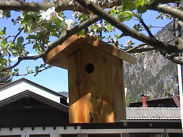 Haus Waldfriede Apartman Pertisau Kültér fotó